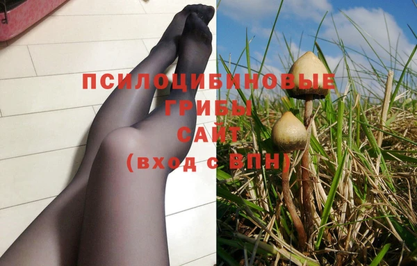 ECSTASY Козловка