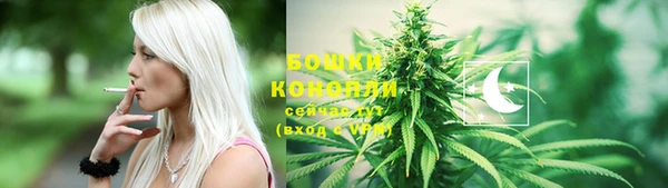 шишки Козельск