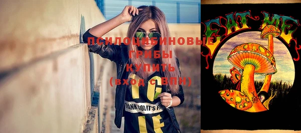 ECSTASY Козловка