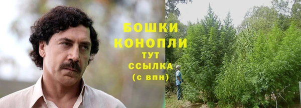 ECSTASY Козловка