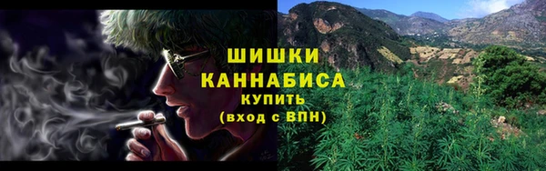 шишки Козельск