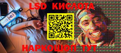 PSILOCYBIN Гатчина