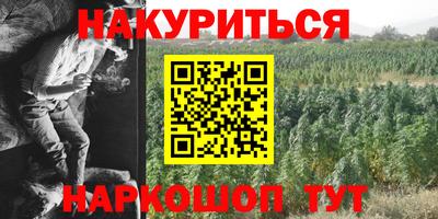 PSILOCYBIN Гатчина