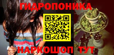 гидропоника Кулебаки