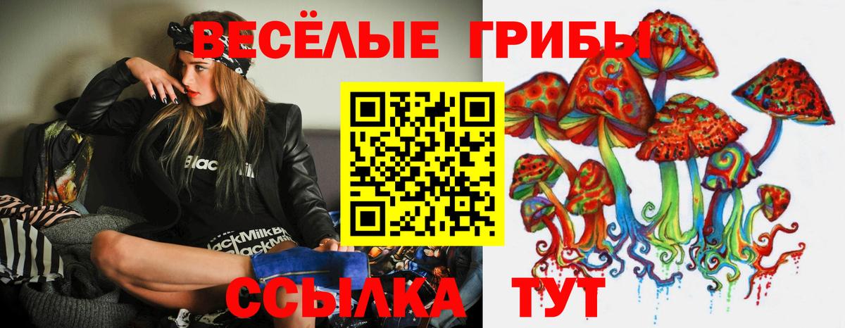 цены наркотик  Галлюциногенные грибы Magic Shrooms  Вход с VPN  Ногинск  Псилоцибиновые грибы Cubensis 
